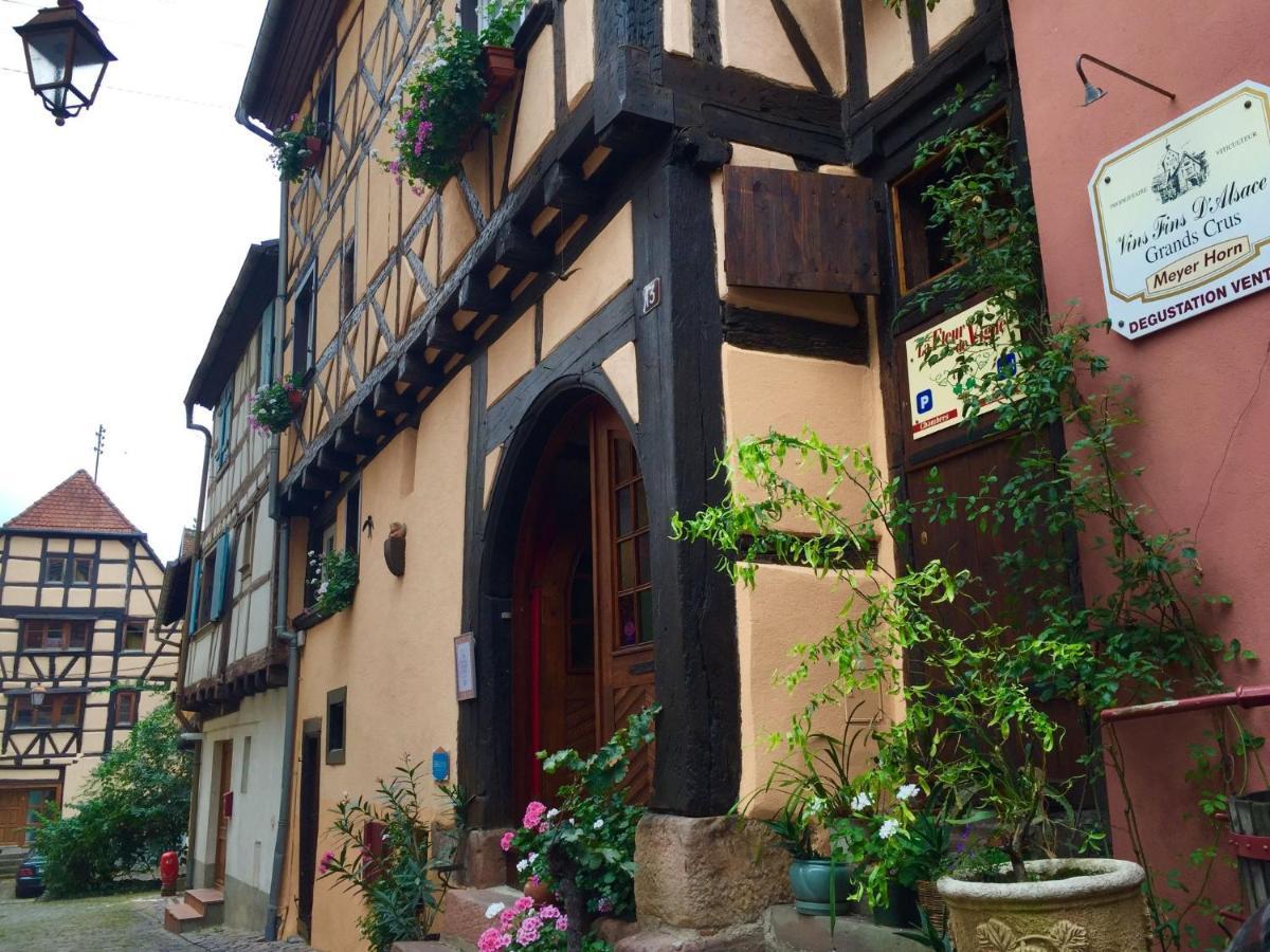 Vintage In With Terrace * Riquewihr