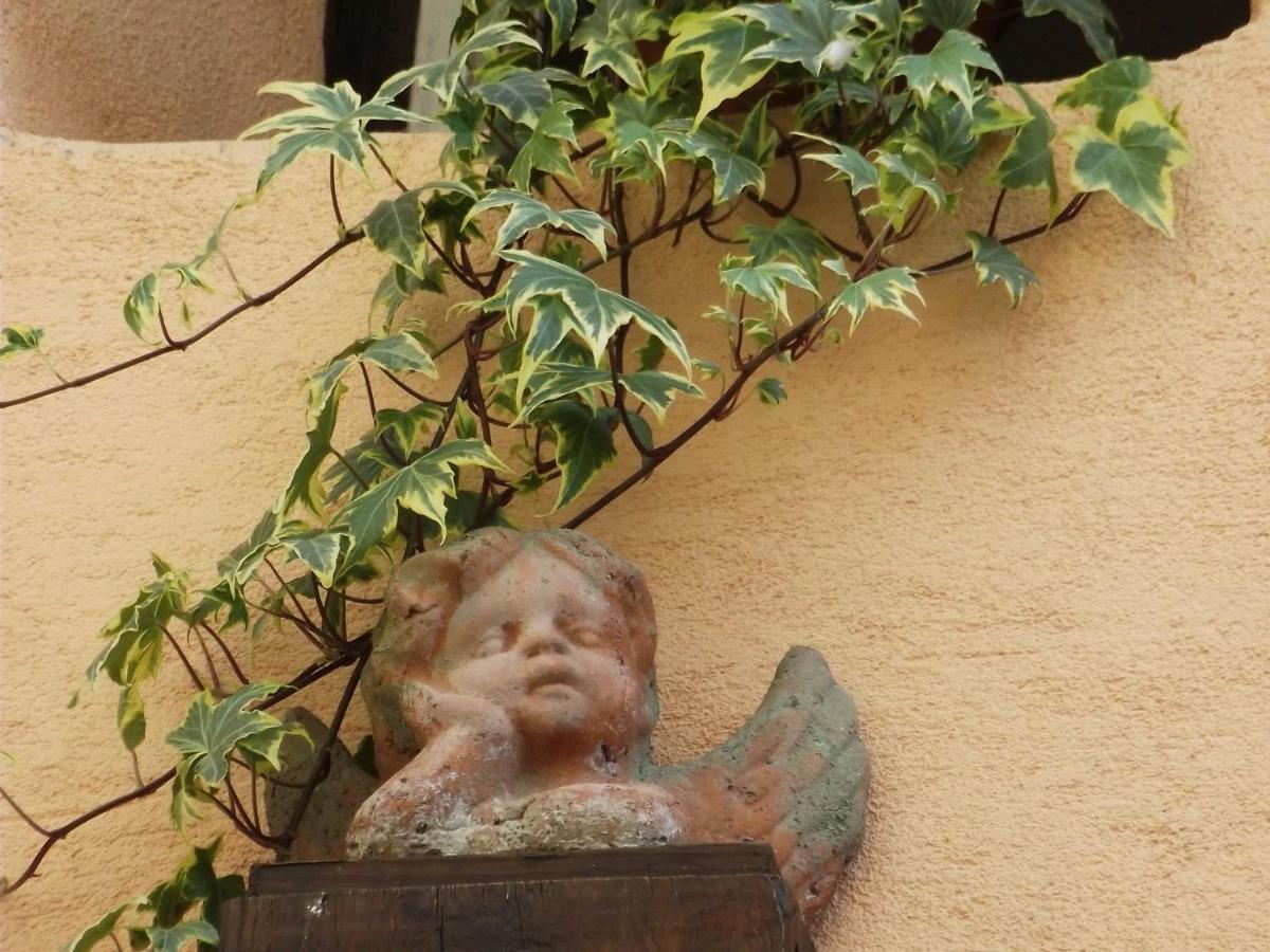 Appartement Vintage In With Terrace Riquewihr