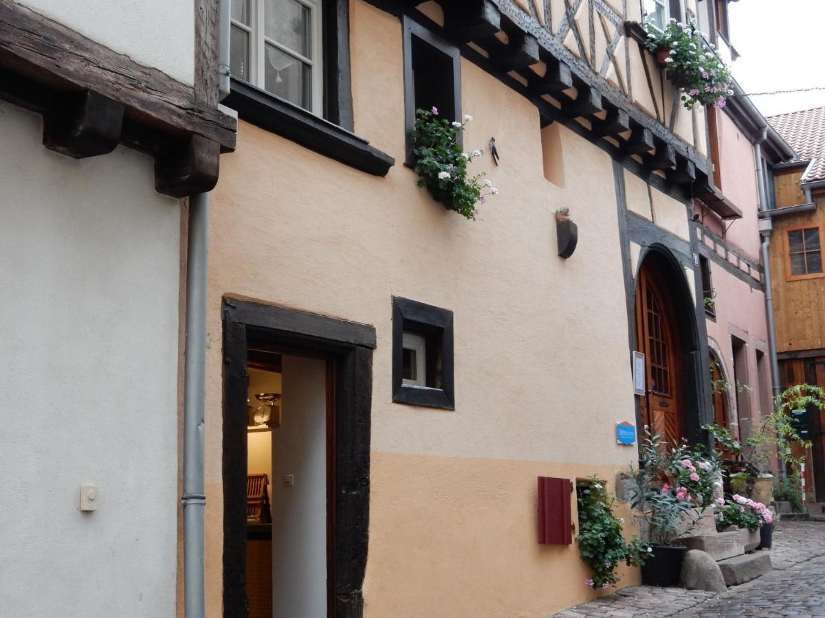 Vintage In With Terrace Appartement Riquewihr